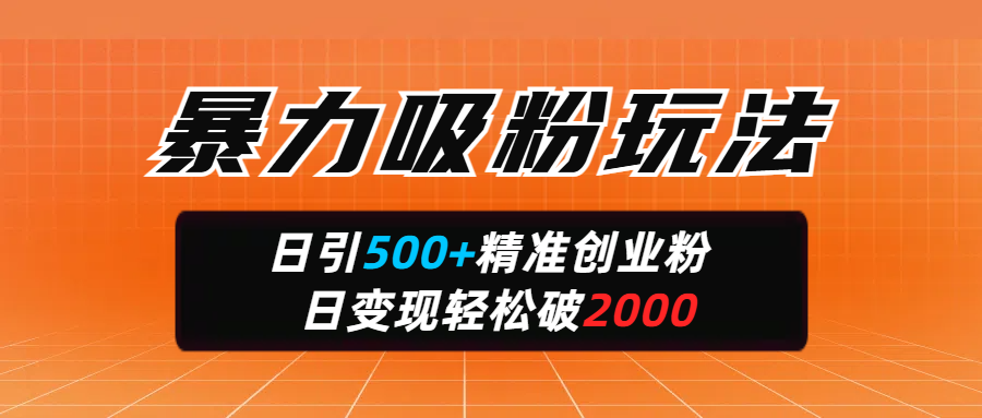 暴力吸粉玩法，日引500+精准创业粉，日变现轻松破2000-易学副业