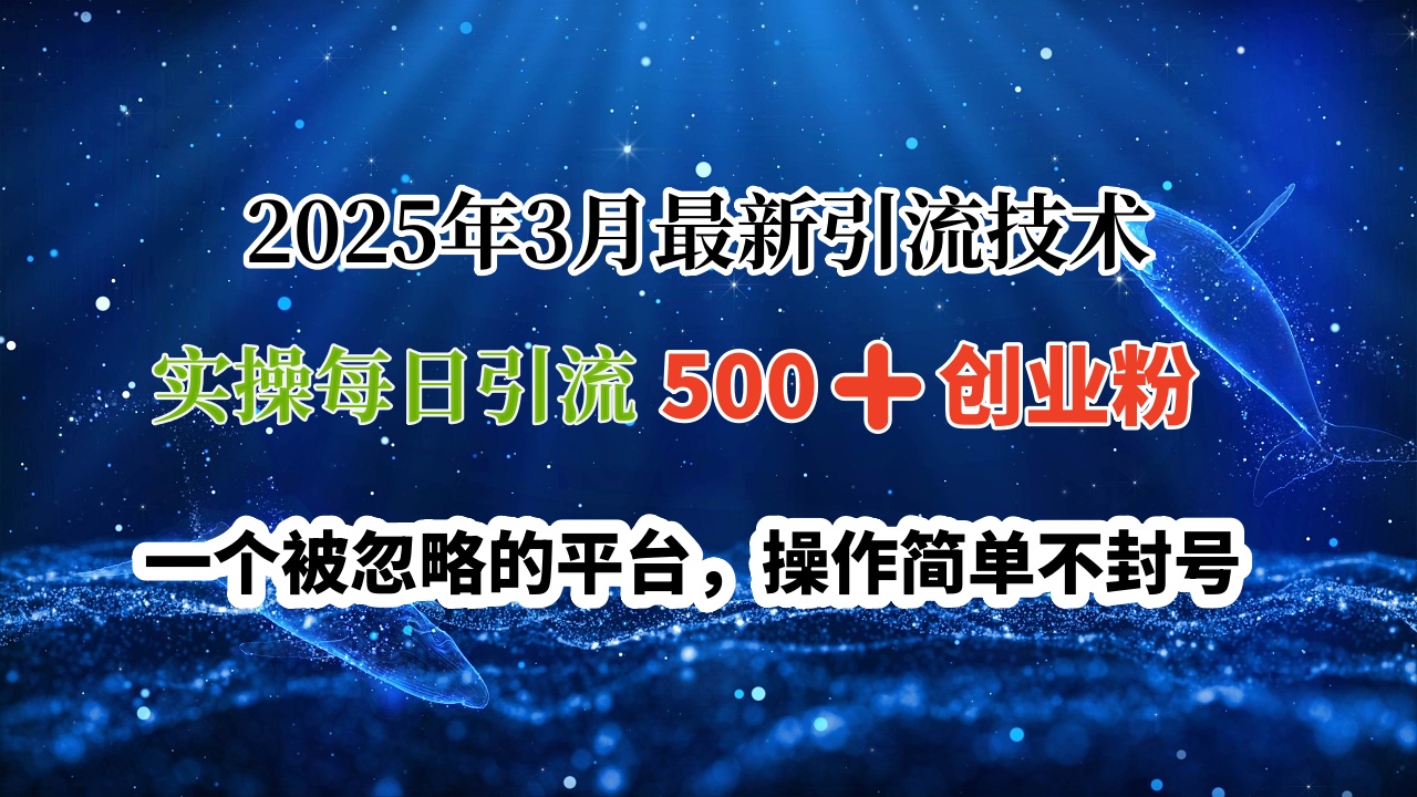 2025年3月最新引流技术，实操每日引流500➕创业粉，一个被忽略的平台，操作简单不封号-易学副业