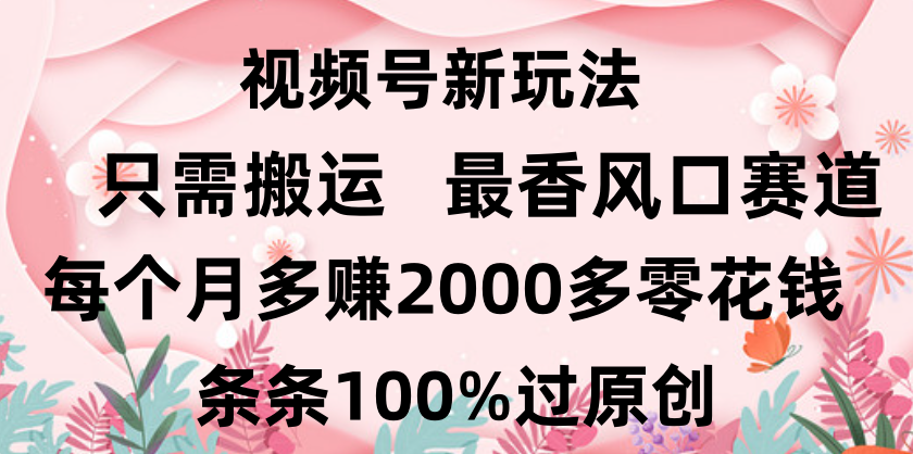 日入2000+，条条100%过原创，视频号最香风口赛道，小白轻松上手-易学副业