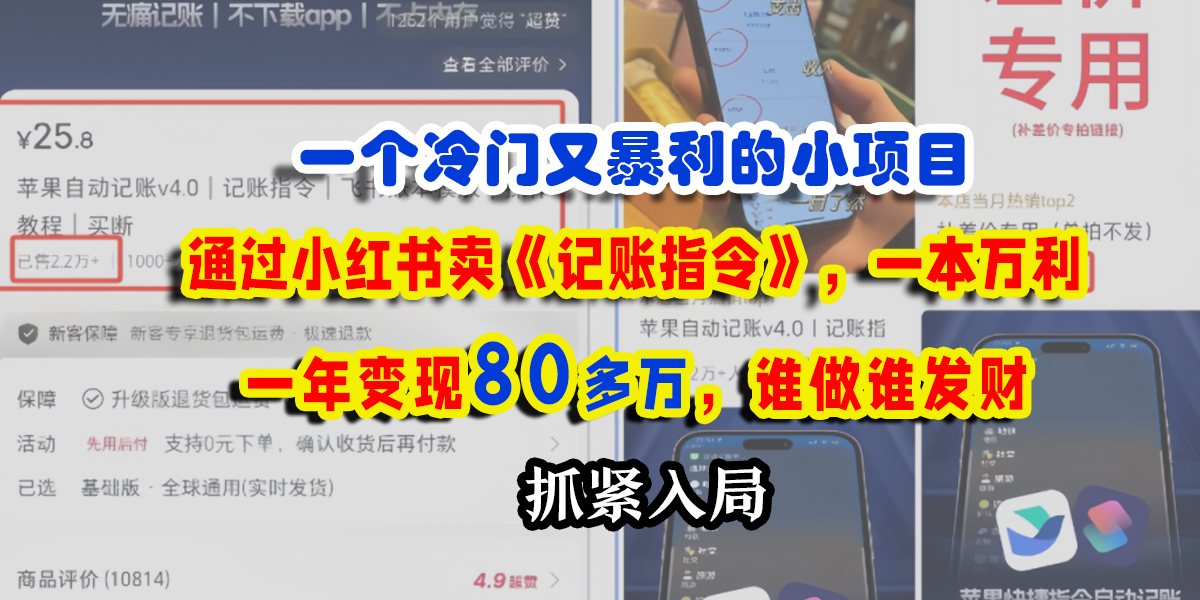 一个冷门又暴利的小项目，通过小红书卖《记账指令》，一本万利，一年变现80多万，谁做谁发财-易学副业