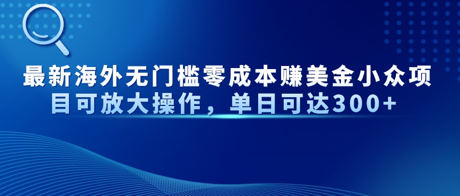 最新海外无门槛美金小众项目可放大操作，单日可达300+-易学副业