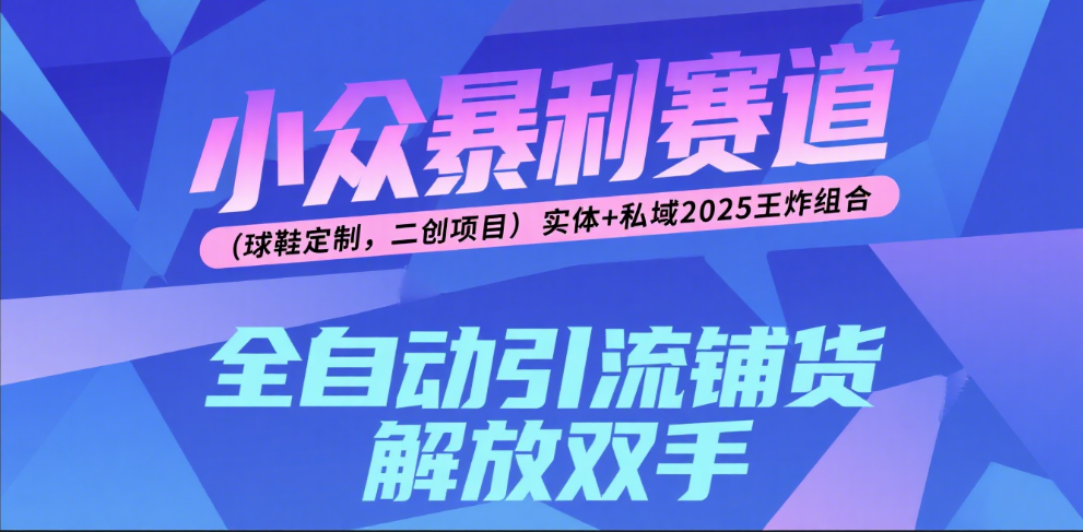 楠—小众暴利赛道（球鞋定制，二创项目）实体+私域2025王炸组合-易学副业