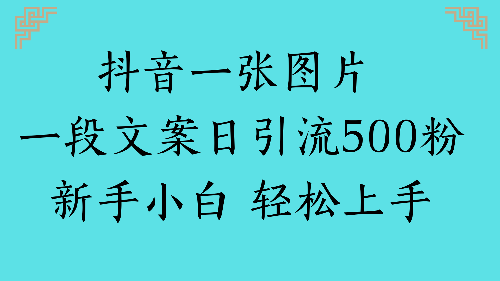 抖音一张图片 一段文案日引流500粉新手小白 轻松上手-易学副业