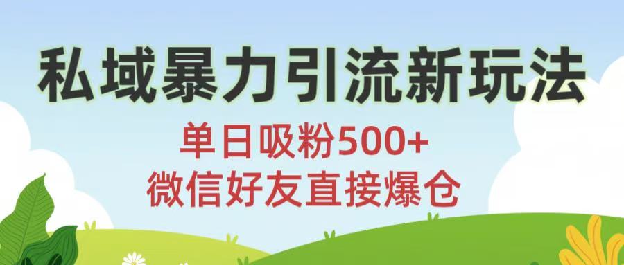 私域暴力引流新玩法!单日吸粉500+，微信好友直接爆仓-易学副业