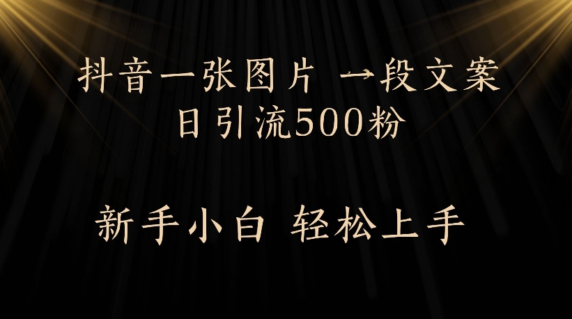 抖音一张图片，一段文案日引流500粉，新手小白 轻松上手-易学副业