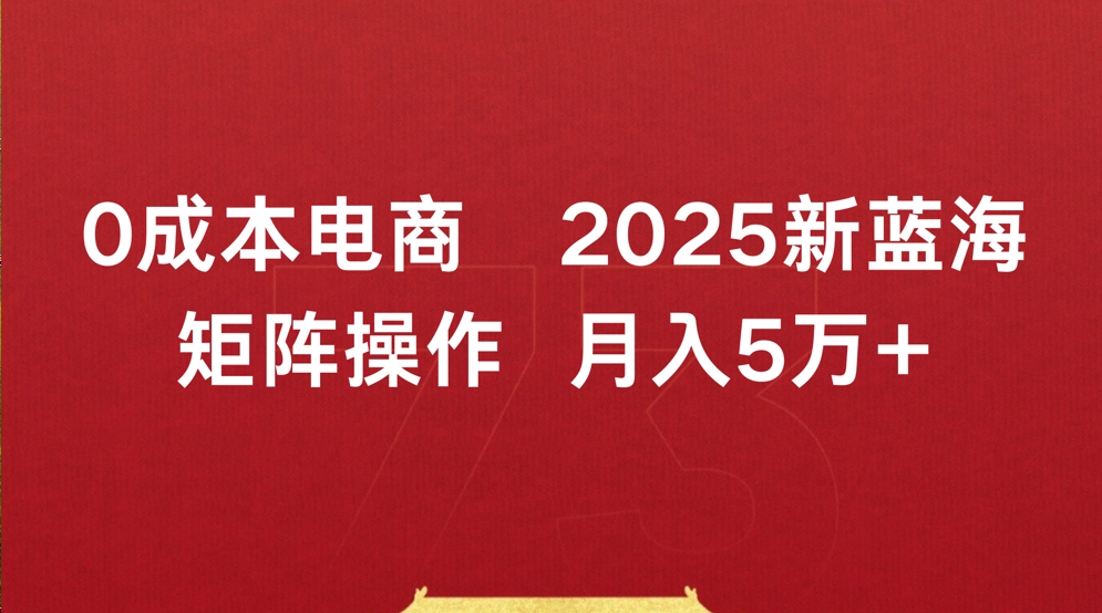0成本电商2025新蓝海矩阵操作 月入5万+-易学副业
