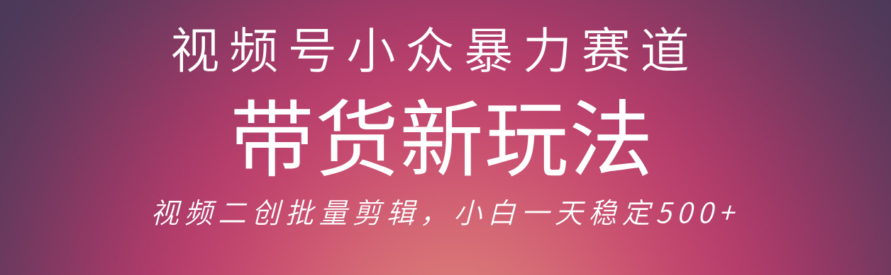 视频号小众暴力赛道，最新带货玩法 小白也能轻松日入500+ 保姆及教程-易学副业