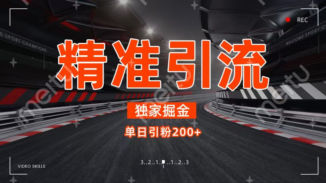 独家野路子精准引流 每日200+-易学副业