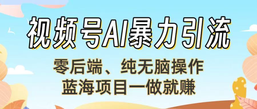 视频号AI暴力引流：零后端、纯无脑操作，蓝海项目一做就赚！【下面那个链接失效了】-易学副业