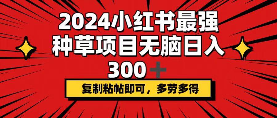 2024小红书最强种草项目，无脑日入300+，复制粘帖即可，多劳多得-易学副业